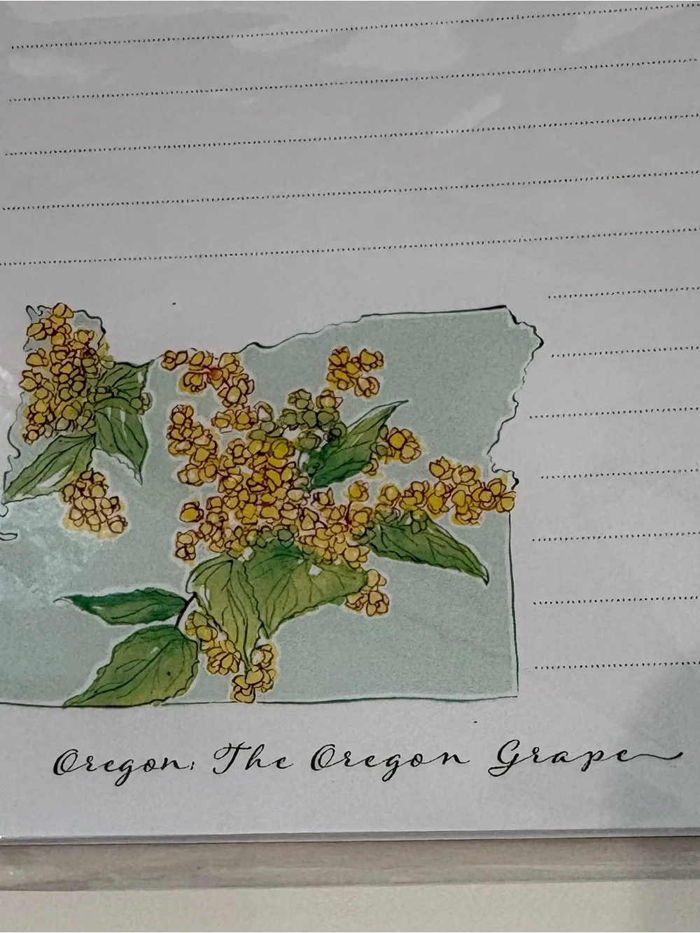 Amanda Klein Co. Magnetic Notepad, 50 Lined Sheets, Oregon, The Oregon Grape